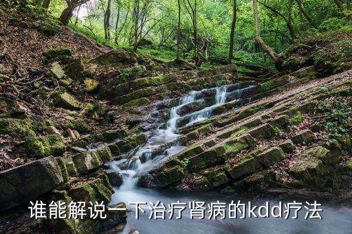 誰能解說一下治療腎病的kdd療法