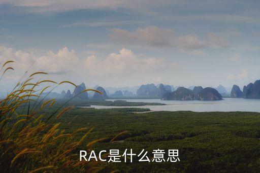 rac，RAC的全稱到底是什么啊 真的是皇家天使