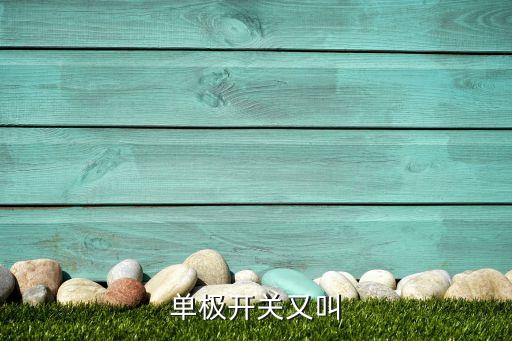 單極開關(guān)又叫