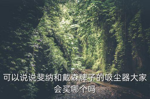 可以說說斐納和戴森牌子的吸塵器大家會買哪個嗎