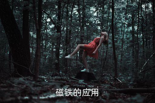 磁鐵的應(yīng)用