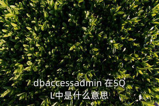 dbaccessadmin 在SQL中是什么意思