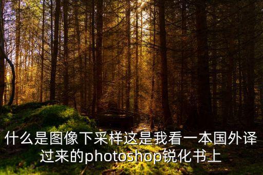 下采樣，什么是圖像下采樣這是我看一本國外譯過來的photoshop銳化書上