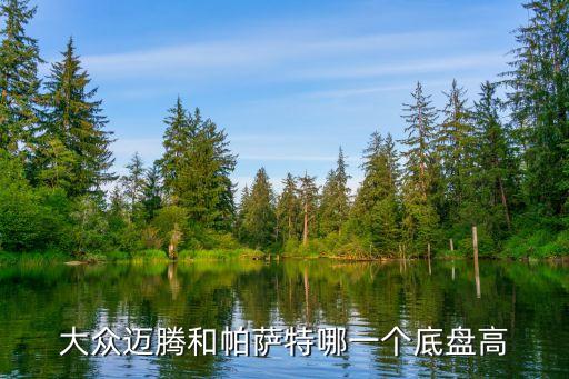 大眾邁騰和帕薩特哪一個(gè)底盤高