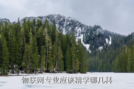 物聯(lián)網(wǎng)專業(yè)應(yīng)該精學(xué)哪幾科