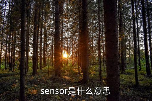 sensor是什么意思