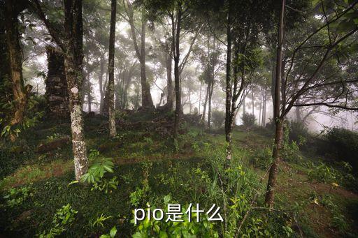 pio，Pio什么意思