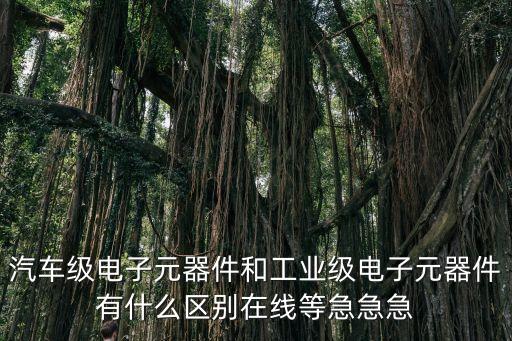 汽車級電子元器件和工業(yè)級電子元器件有什么區(qū)別在線等急急急