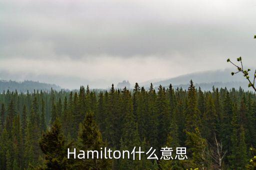 Hamilton什么意思