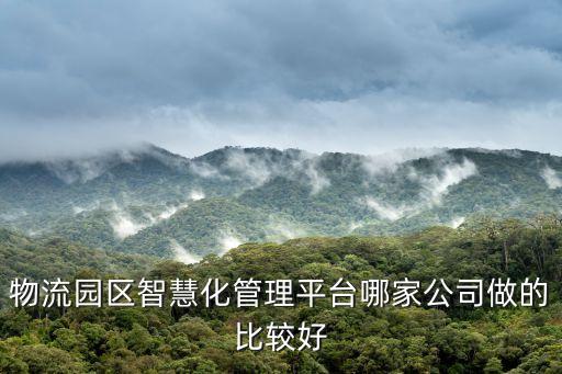 物流園區(qū)智慧化管理平臺哪家公司做的比較好