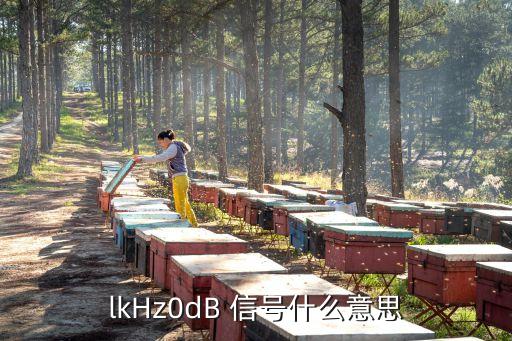 lkHz0dB 信號(hào)什么意思