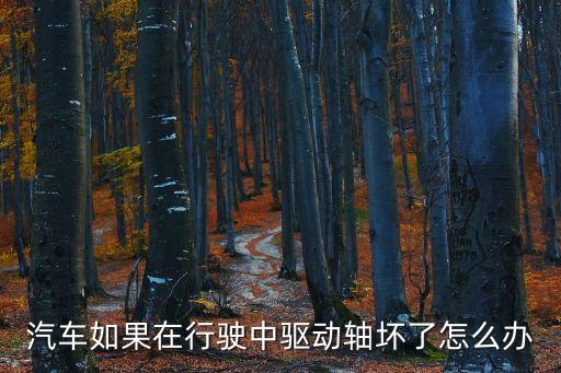 汽車如果在行駛中驅(qū)動(dòng)軸壞了怎么辦