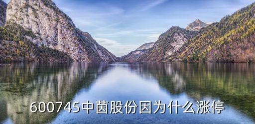 中茵微電子，中茵股份未來(lái)走勢(shì)怎樣