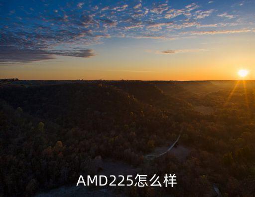 AMD225怎么樣