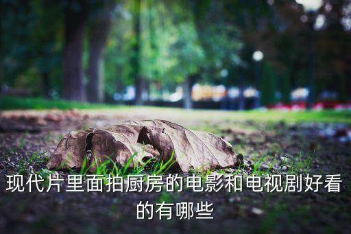 廚房電視，誰能告訴我一些關(guān)于廚房的電視劇
