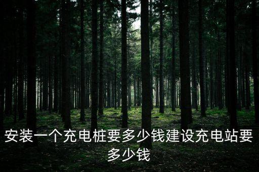 安裝一個充電樁要多少錢建設(shè)充電站要多少錢
