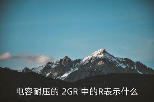 電容耐壓的 2GR 中的R表示什么