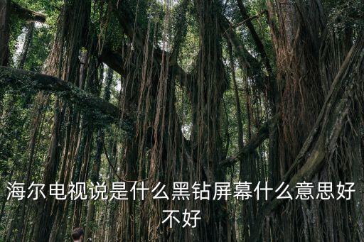 海爾電視說是什么黑鉆屏幕什么意思好不好