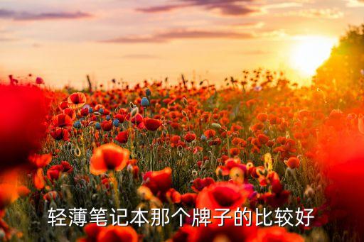 輕薄筆記本那個牌子的比較好