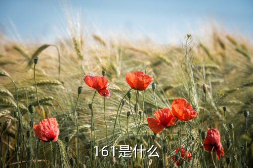 161，161年屬相是什么