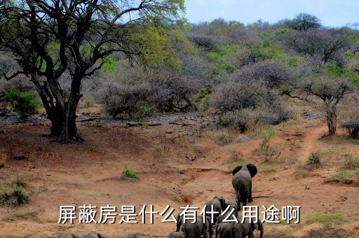 屏蔽房是什么有什么用途啊