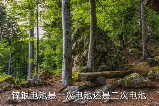 鋅銀電池是一次電池還是二次電池