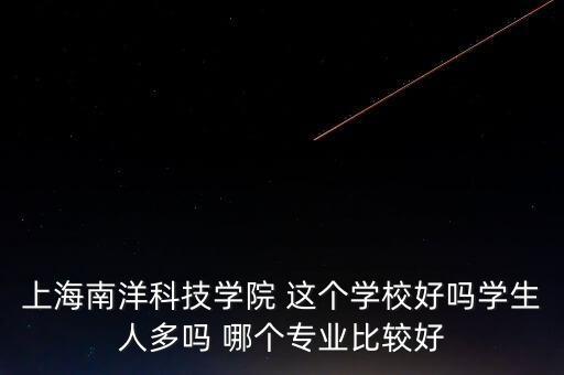 南洋科技，上海南洋科技學(xué)院 這個(gè)學(xué)校好嗎學(xué)生人多嗎 哪個(gè)專業(yè)比較好