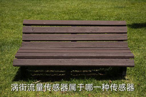 渦街流量傳感器，渦街流量傳感器屬于哪一種傳感器