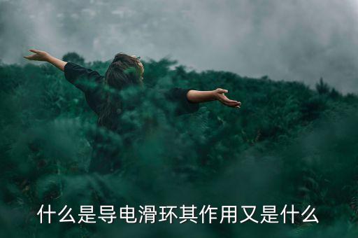 什么是導(dǎo)電滑環(huán)其作用又是什么