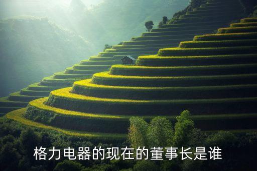 格力電器的現(xiàn)在的董事長是誰