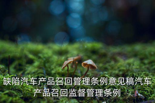 缺陷汽車產(chǎn)品召回管理?xiàng)l例意見稿汽車產(chǎn)品召回監(jiān)督管理?xiàng)l例