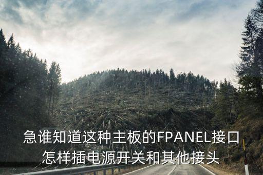 急誰知道這種主板的FPANEL接口怎樣插電源開關(guān)和其他接頭