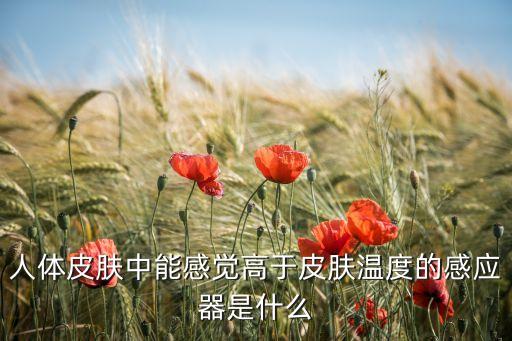 人體皮膚中能感覺高于皮膚溫度的感應(yīng)器是什么