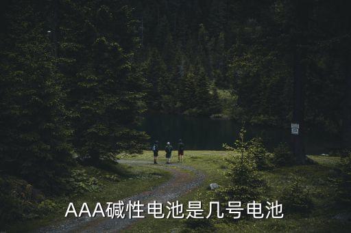 AAA堿性電池是幾號(hào)電池