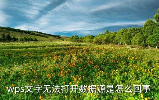 wps文字無(wú)法打開(kāi)數(shù)據(jù)源是怎么回事