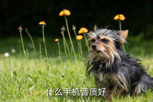 什么手機音質(zhì)好