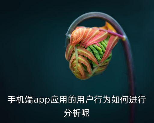 用戶行為研究，什么是用戶研究專員