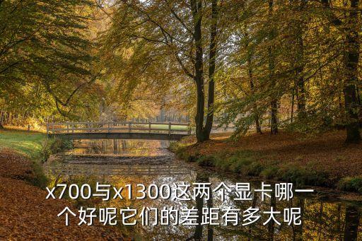 x700與x1300這兩個顯卡哪一個好呢它們的差距有多大呢