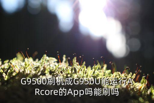 G9500刷機成G950U能運行ARcore的App嗎能刷嗎