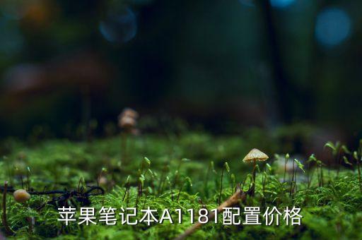 蘋果a11，蘋果A121手機(jī)怎么樣
