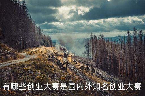 有哪些創(chuàng)業(yè)大賽是國(guó)內(nèi)外知名創(chuàng)業(yè)大賽