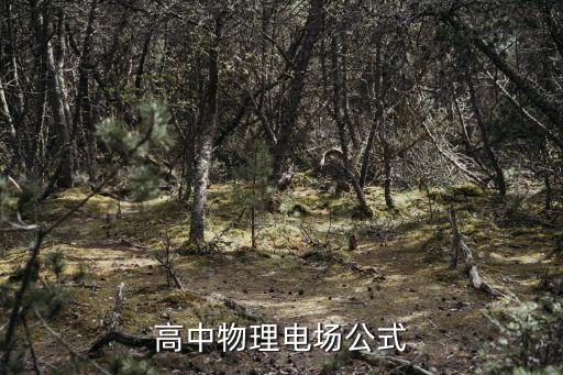 電場能量公式，高中物理電場公式
