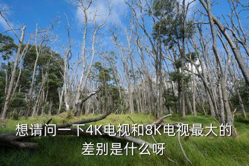 想請問一下4K電視和8K電視最大的差別是什么呀