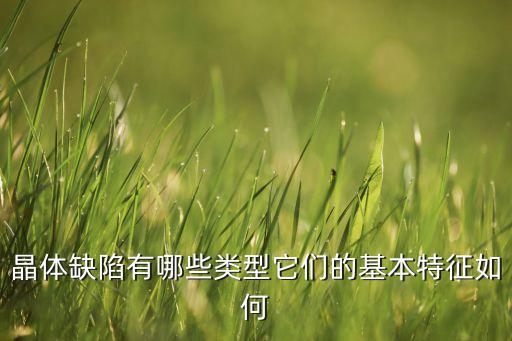 晶體缺陷，常見(jiàn)的晶體缺陷有以下幾種