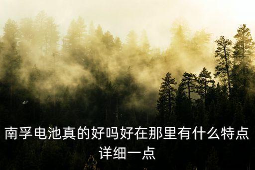 南孚電池真的好嗎好在那里有什么特點(diǎn)詳細(xì)一點(diǎn)