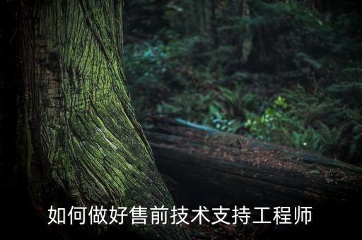 如何做好售前技術(shù)支持工程師
