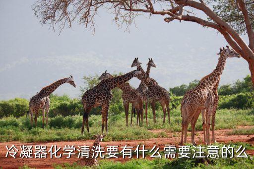 冷凝器清洗，駕駛技巧如何清洗汽車?yán)淠? /></a><a href=