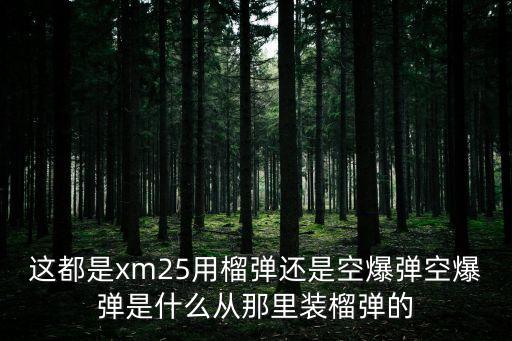 這都是xm25用榴彈還是空爆彈空爆彈是什么從那里裝榴彈的