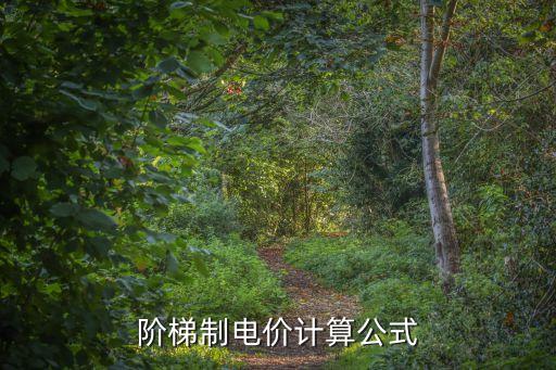 階梯電價(jià)怎么算，階梯電費(fèi)是如何算的