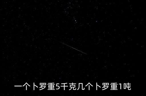 卜羅，一個卜羅重5千克幾個卜羅重1噸
